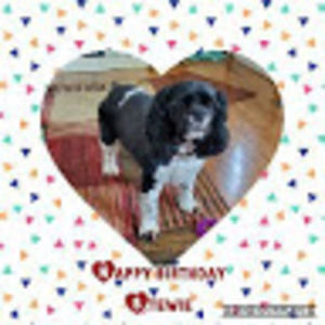 Meet your Posher, Piney